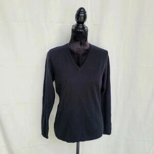 Blue Motion Womens Black V-Neck Pullover Acrylic Sweater Long Sleeve L (40/42)